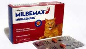 Milbemax для кошенят, котів та собак: інструкції щодо використання, відгуки
